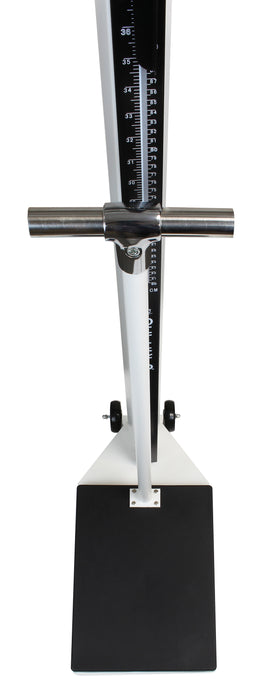 Detecto 448 Mechanical Eye-Level Physician's Scale, Weigh Beam, 450 lb X 4 oz, Height Rod, Wheels, Handpost