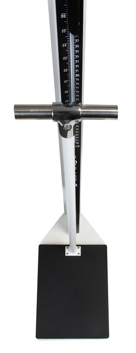 Detecto 449 Mechanical Eye-Level Physician's Scale, Weigh Beam, 450 lb X 4 oz, Height Rod, Handpost